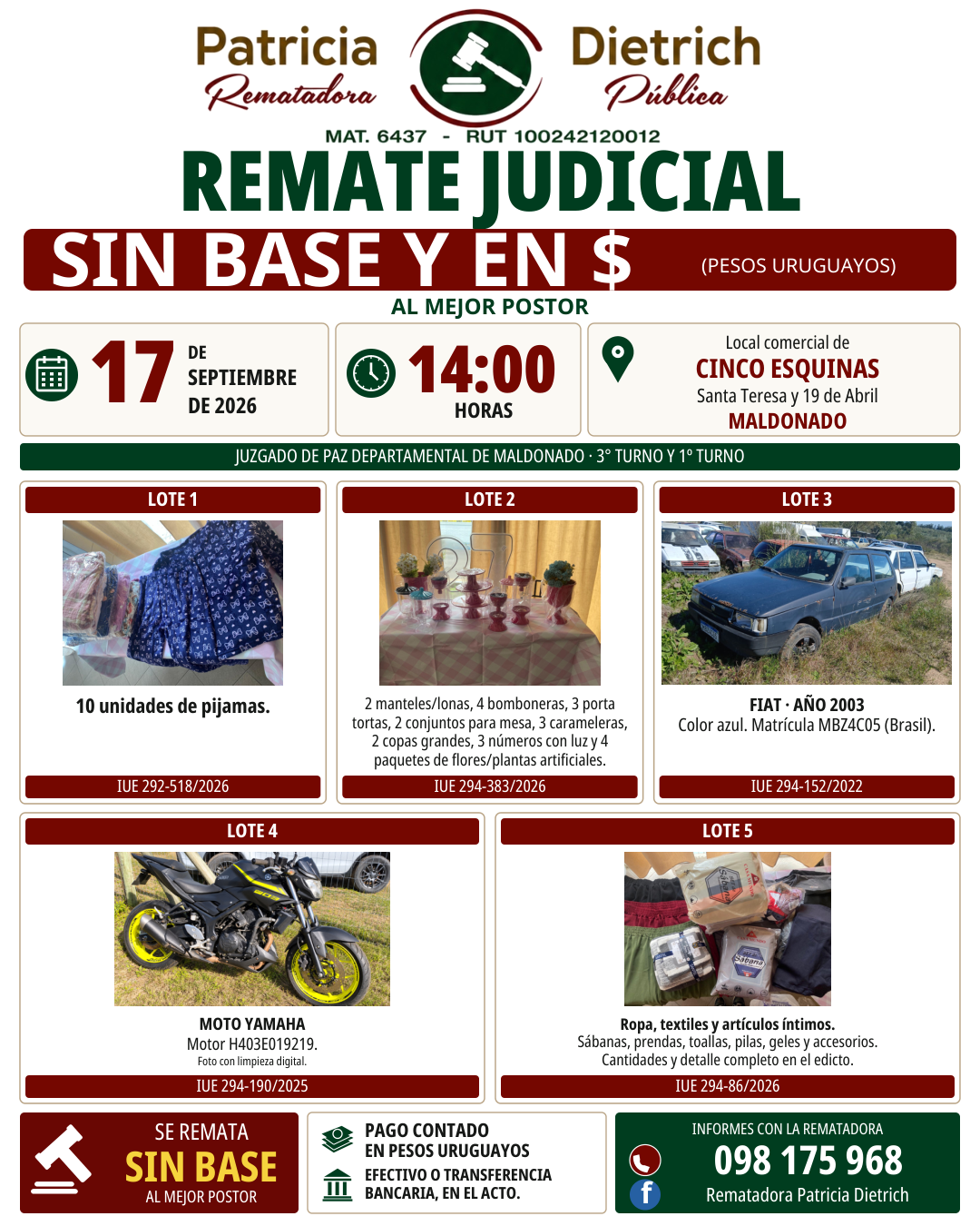 Afiche del remate judicial del 17 de septiembre de 2026